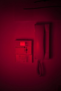 http://www.peterwaterschoot.com/files/gimgs/th-13_18_45  40 cm, Red Phone, Int kopie_v3.jpg